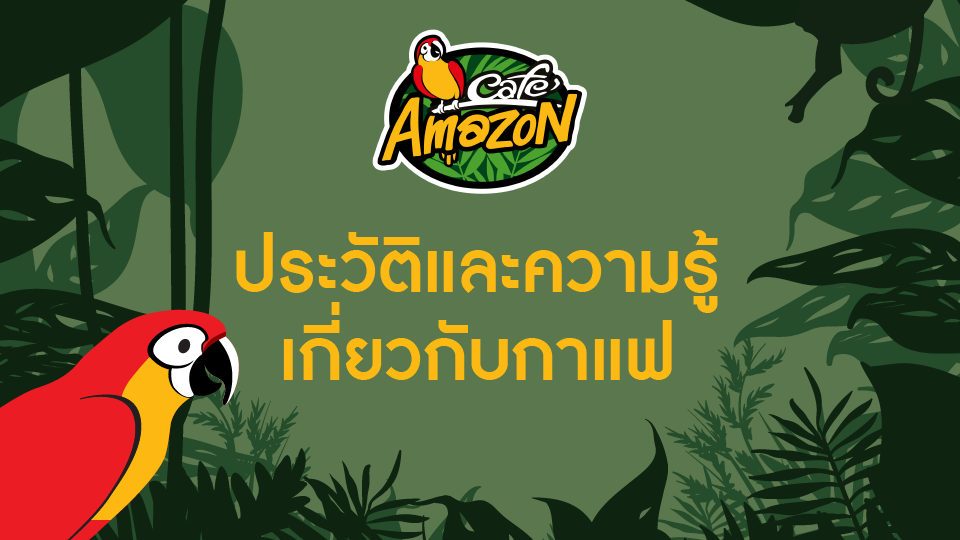 knowledge-base-cafe-amazon-academy